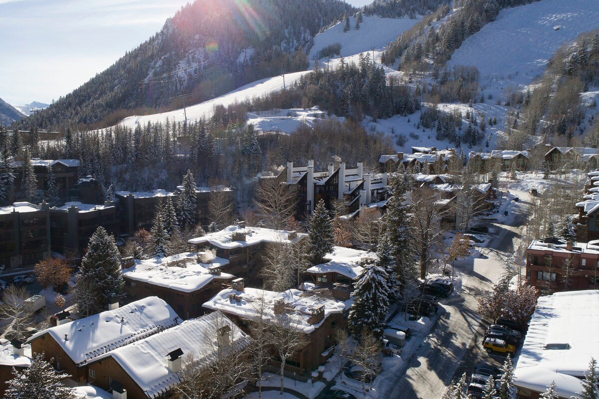  2BR 2.5BA Luxurious Aspen Mountain Modern! - Foto 50