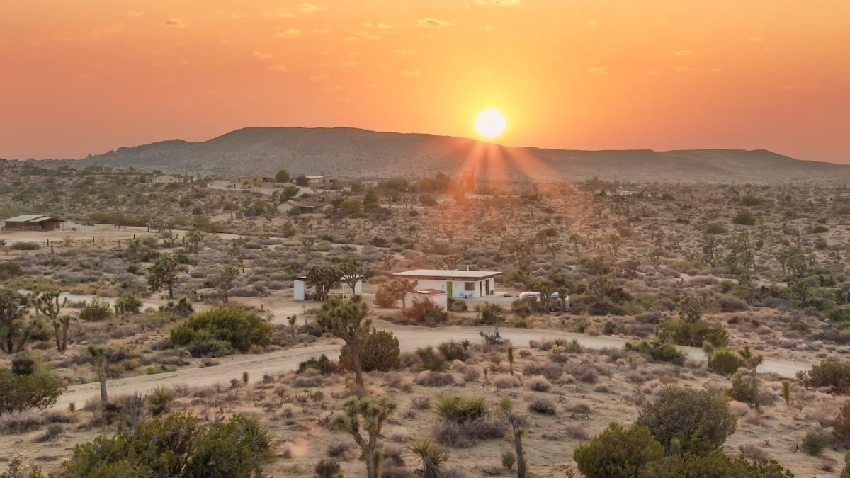 Desert Diamond by Homestead Modern