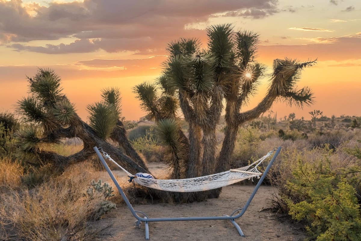 Desert Diamond by Homestead Modern