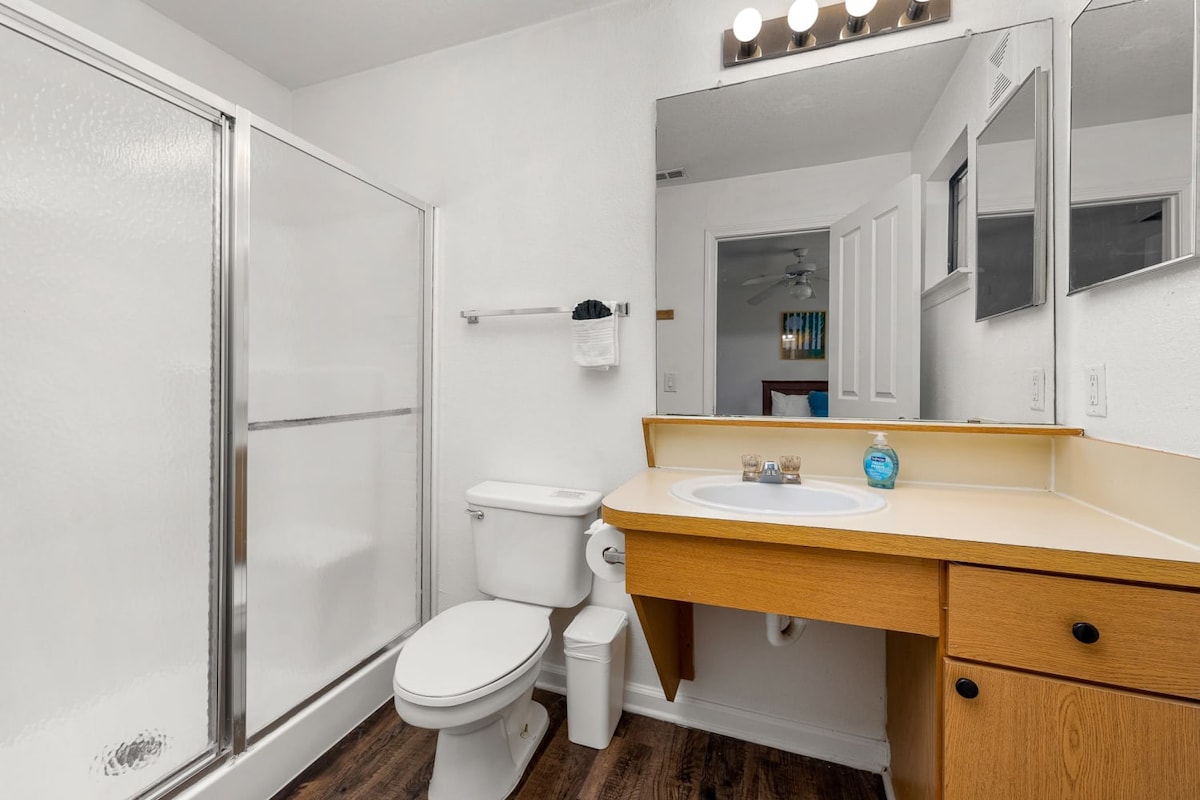 3 MI to USF! Pool! GYM & Pet Friendly!