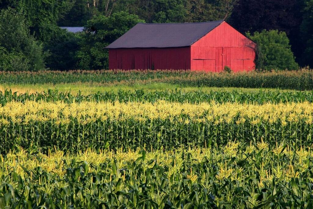 Amherst, Perfect Location, UMass, Smith, MHC! — Hadley, MA — vacation rental