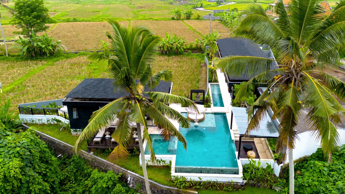 View 9