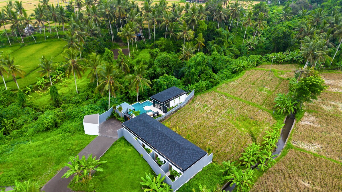View 7