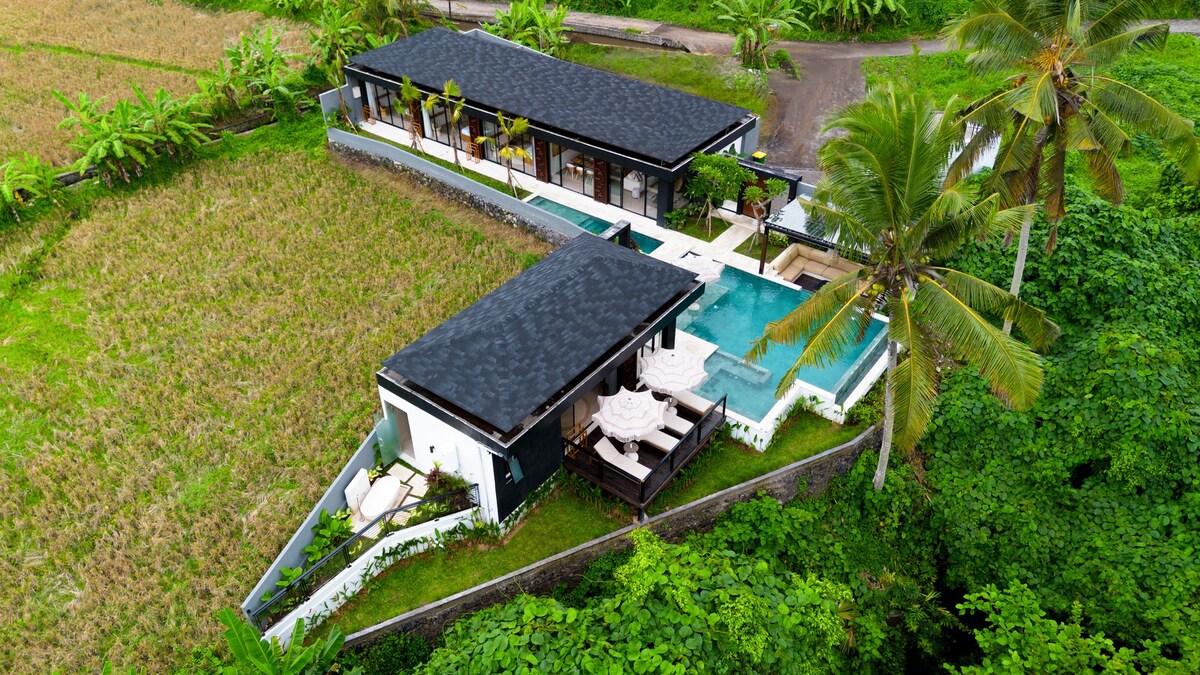 View 8