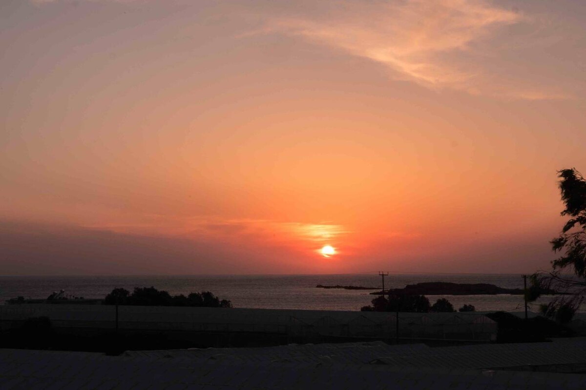 View 7
