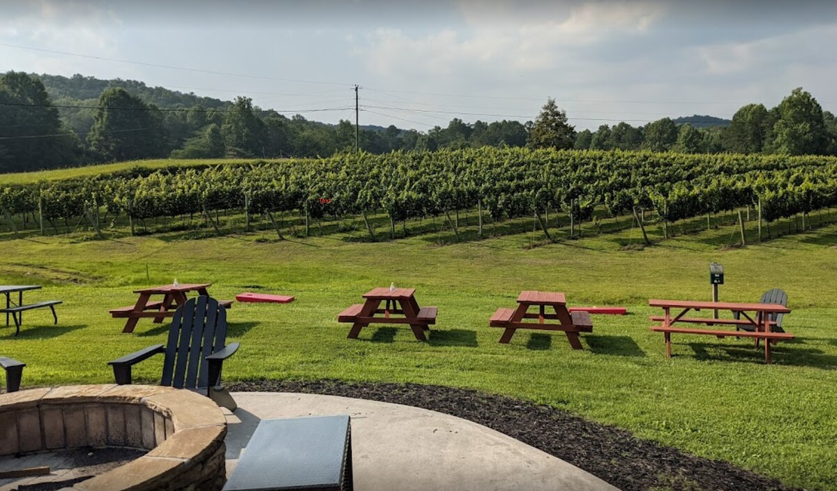 5MI to DT + Mountain Views + Hot Tub + Fire Pit