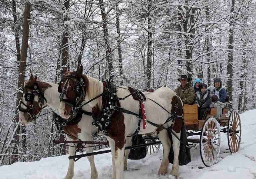 5MI to DT + Mountain Views + Hot Tub + Fire Pit
