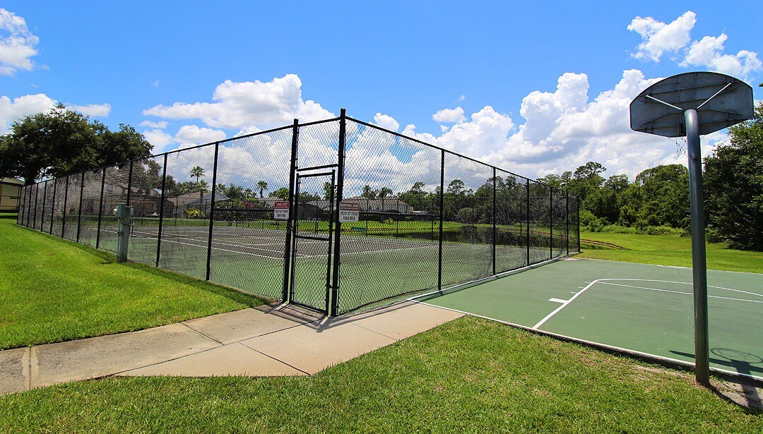 Outdoor tennis & basketball court set in an open, sunny green space.