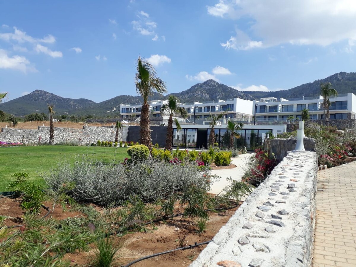 View 8