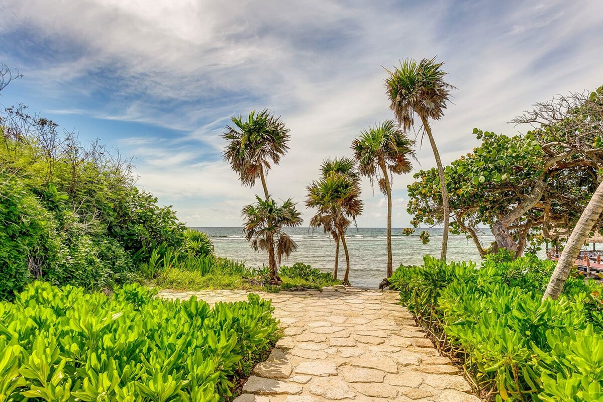 Private Beach Club, Pools, Golf & Sea Turtles — Oasis Akumal, Quintana Roo — vacation rental
