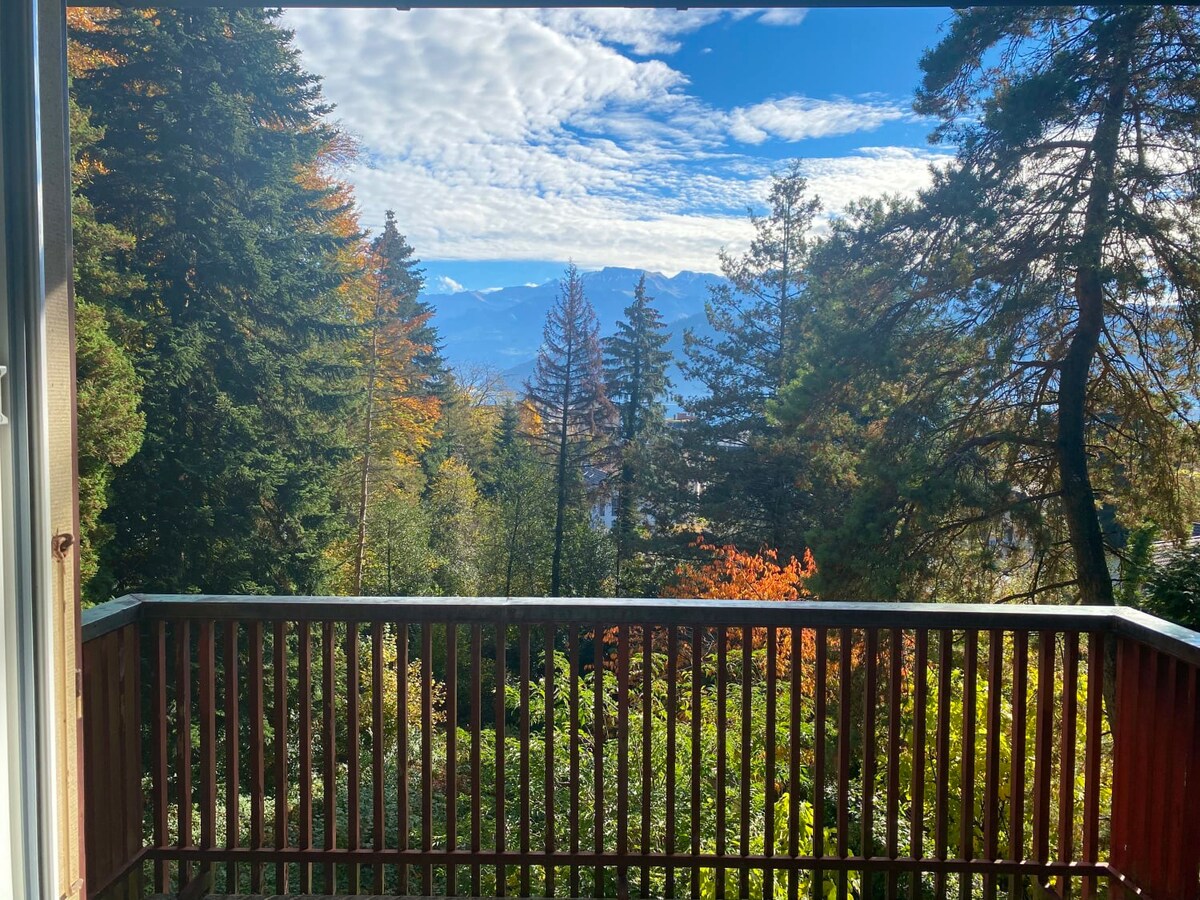 Panoramic Lake & Mountain Views in Weggis — Weggis, Kanton Luzern — vacation rental