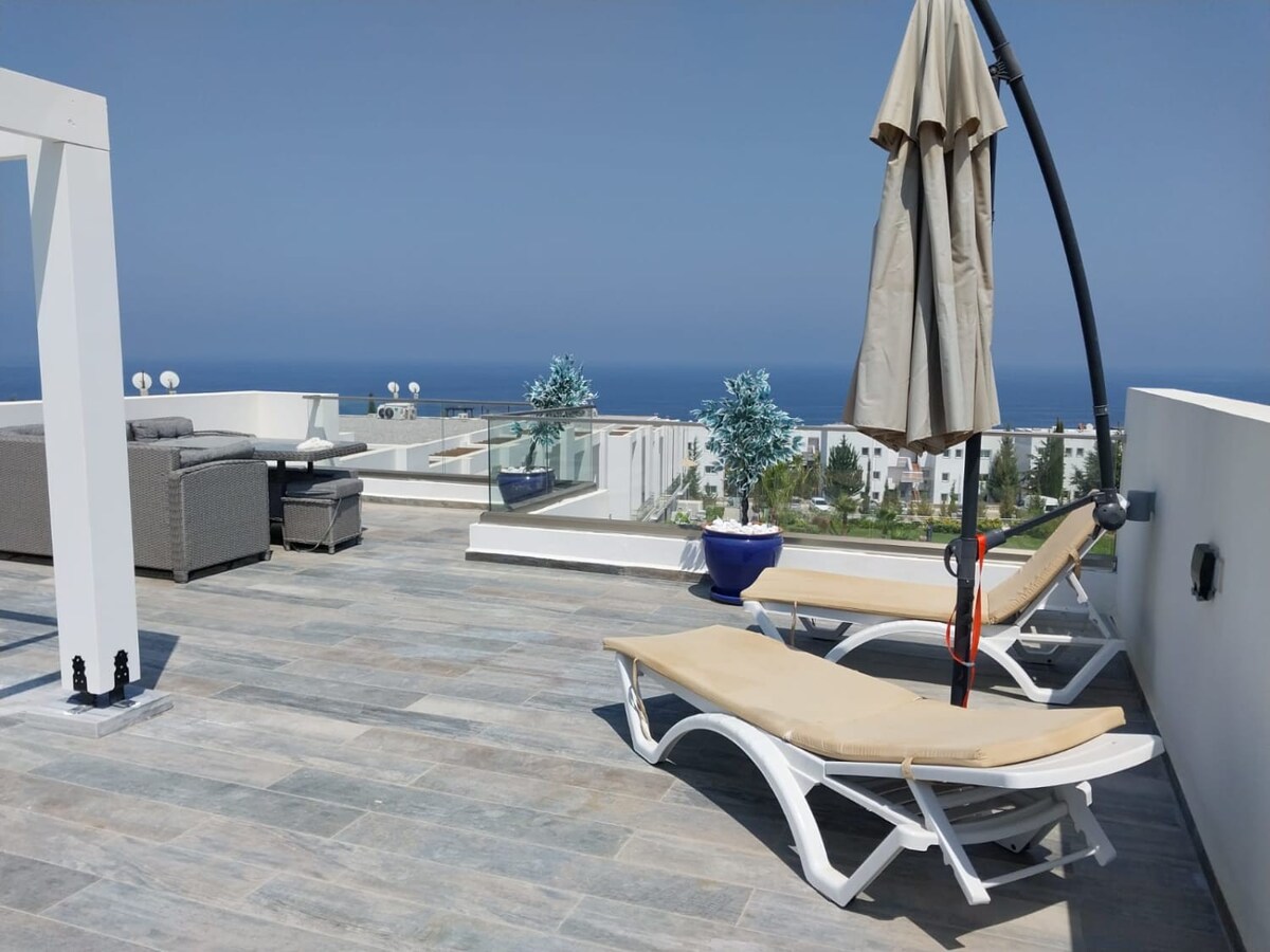 View 8