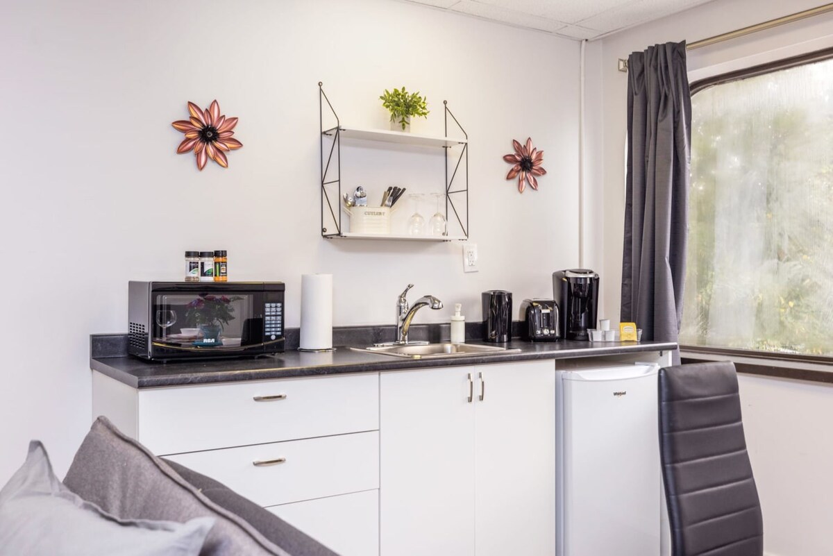 Kitchenette with mini fridge and microwave oven