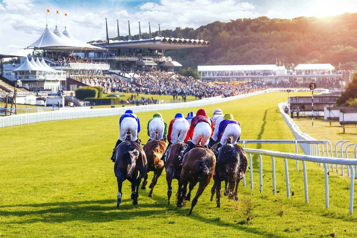 Goodwood and its long list of events, including horse race meetings, is only a 20 minute drive away.