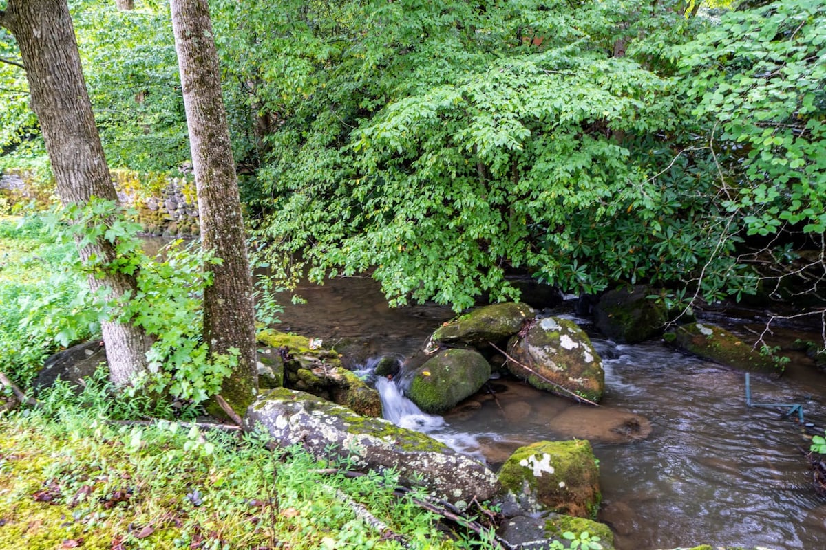 Water View Cabin - Fishing Lake - Groundhog Cabin | Creekside Hideaway