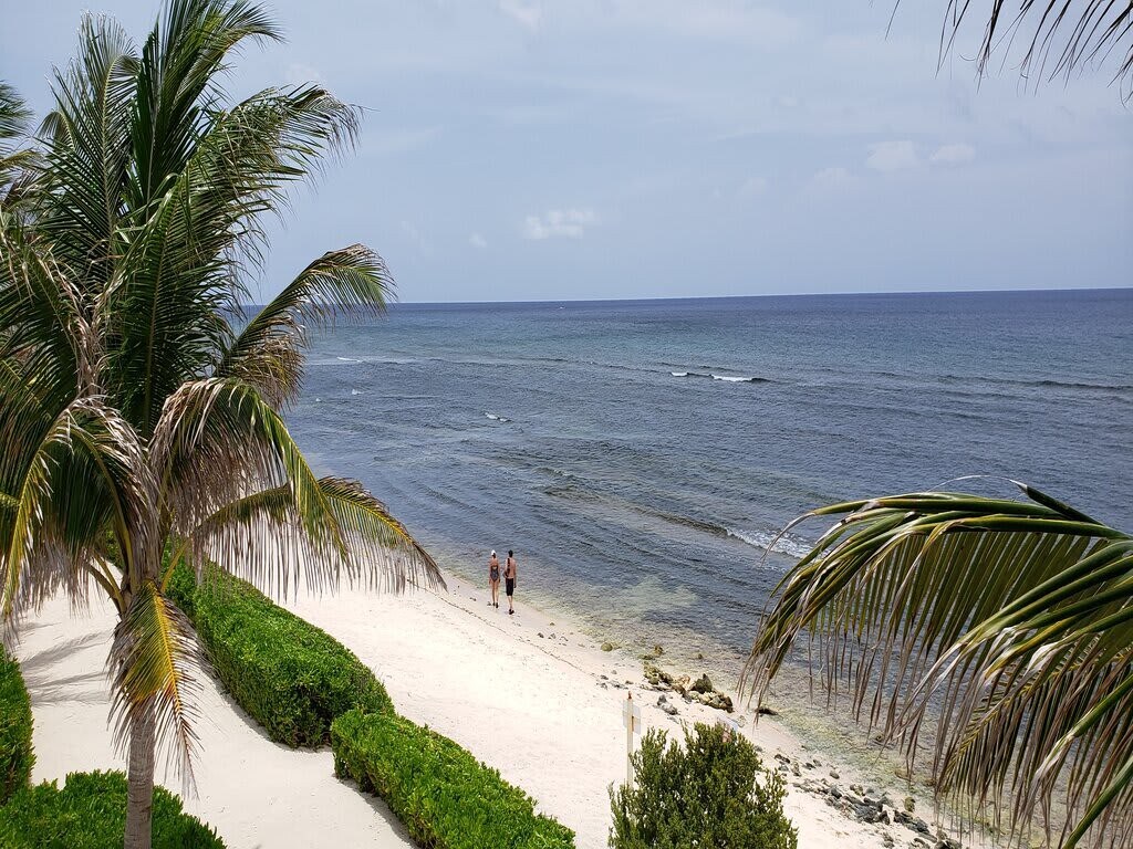 View 6