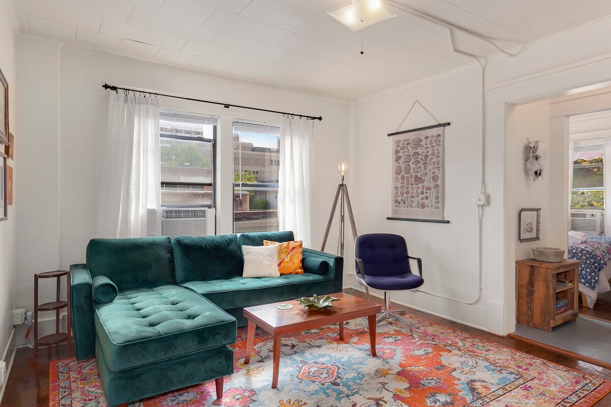 The Wildflower - Monthly Rental - Walk Everywhere! — Fayetteville, AR — vacation rental