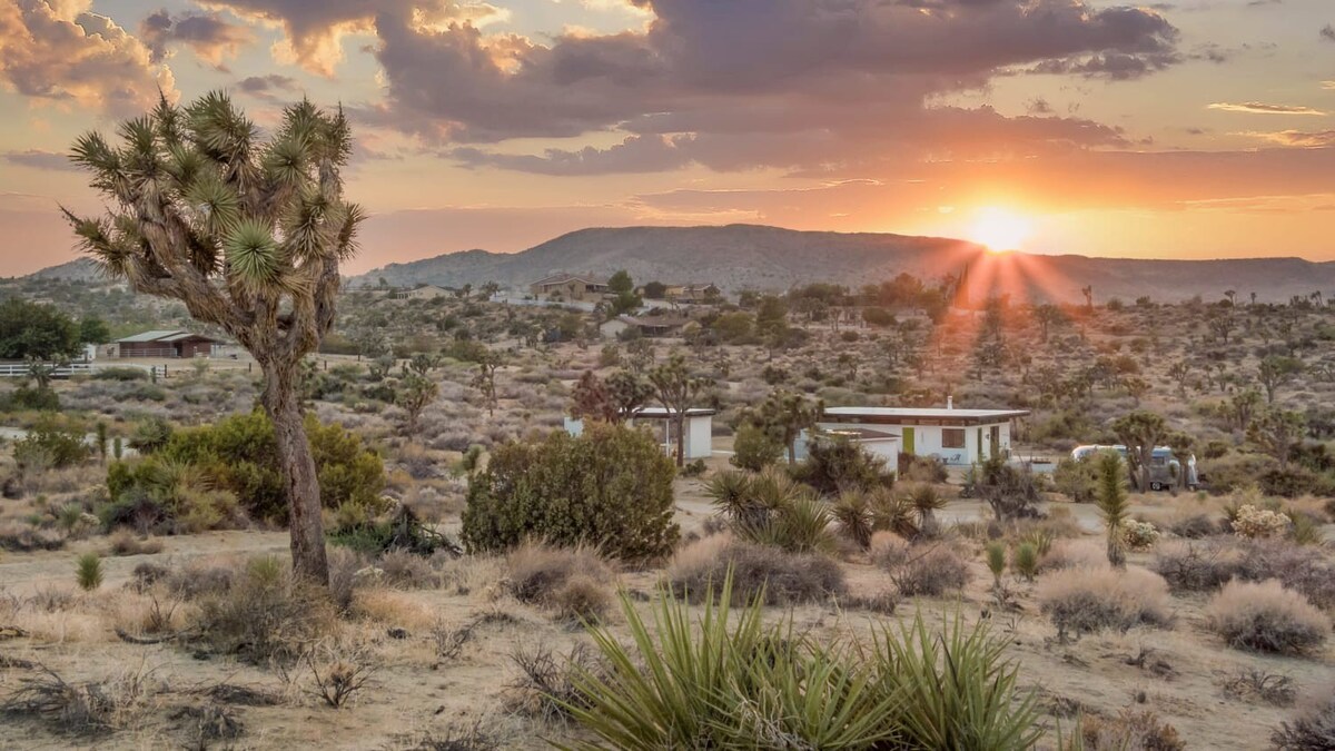 Desert Diamond by Homestead Modern — Yucca Valley, CA — vacation rental