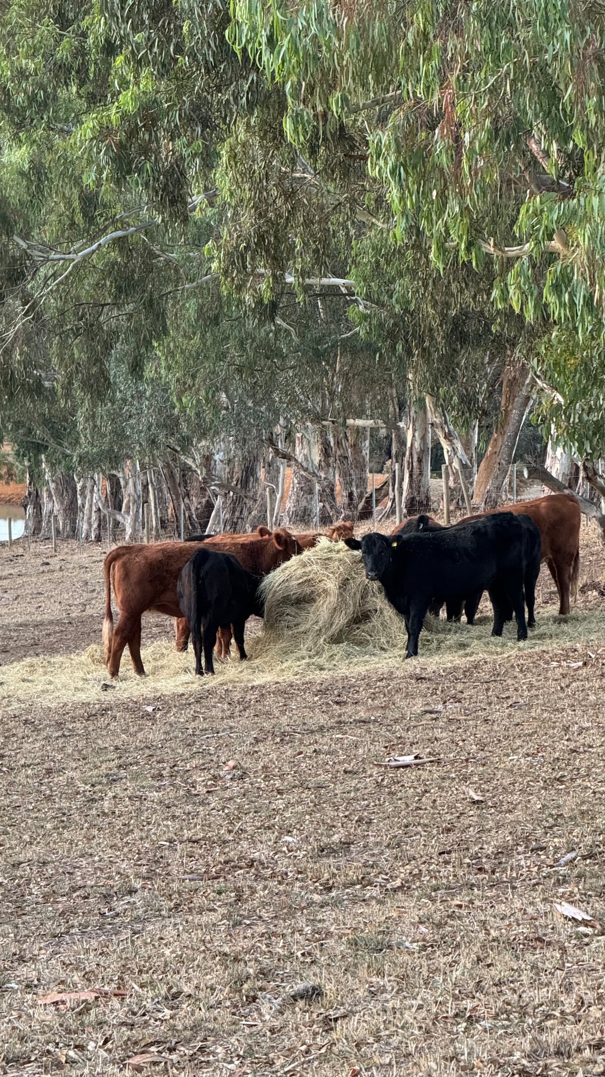 Farm Stay, Picturesque views - Photo 14
