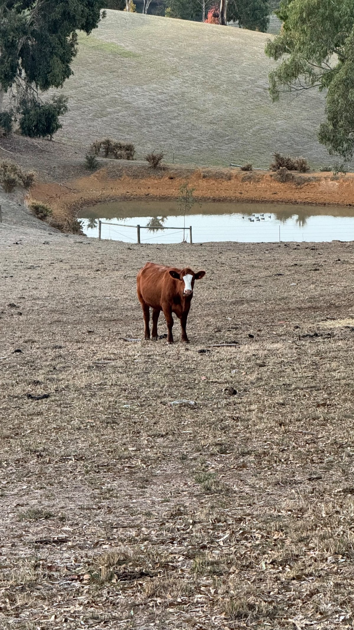 Farm Stay, Picturesque views - Photo 4