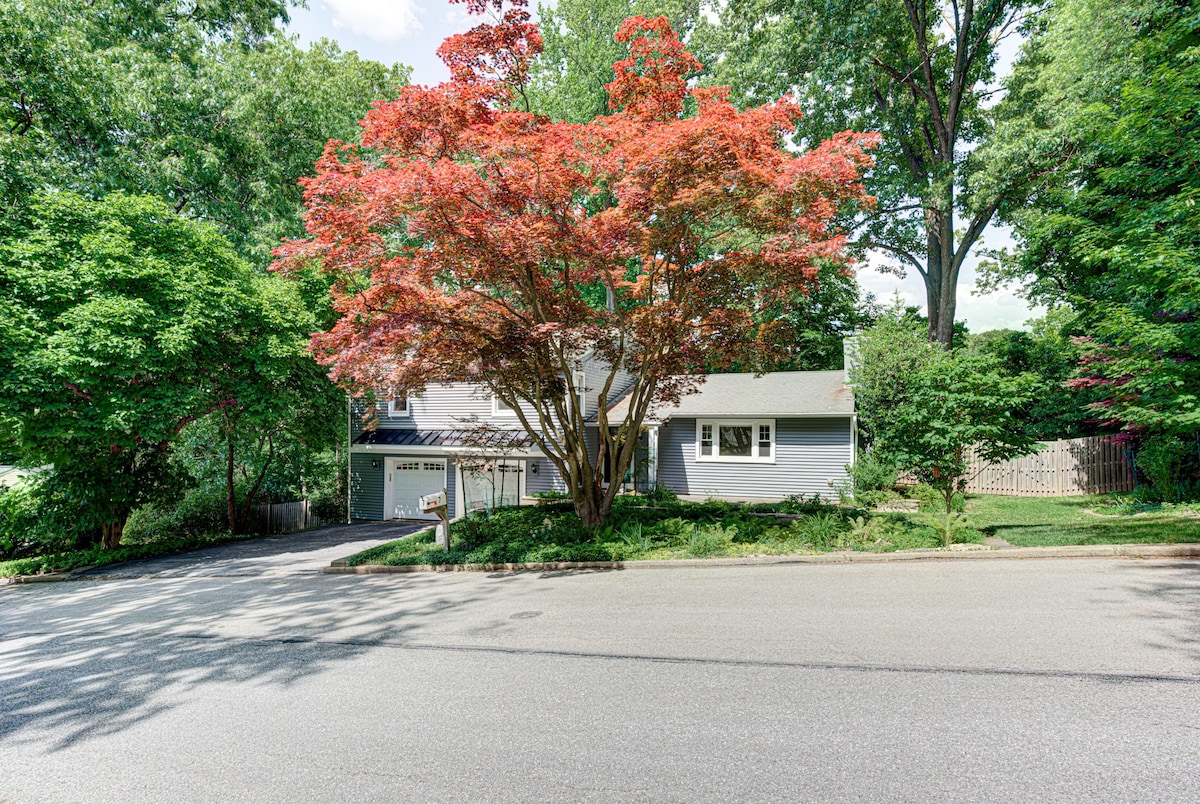 Spacious House | Berwyn | Patio | Hosted StayRafa