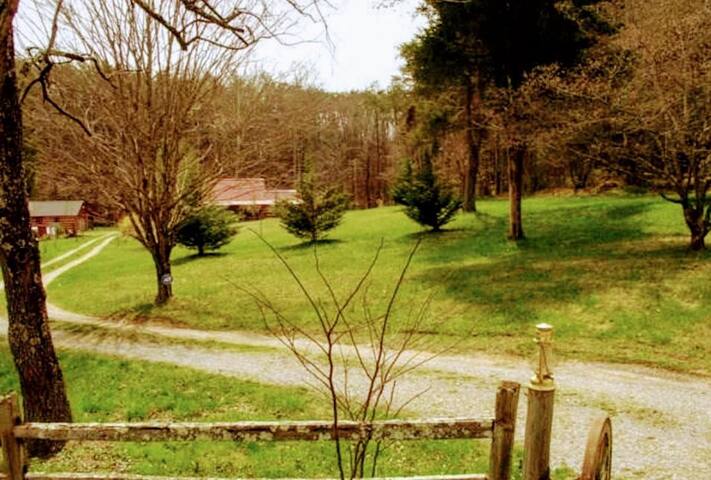Cozy Country Cabin | Hot Tub + Outdoor Charm