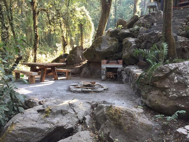 CABANA en el bosque TRANQUILIDAD ABSOLUTA, UNICO - Picture 16