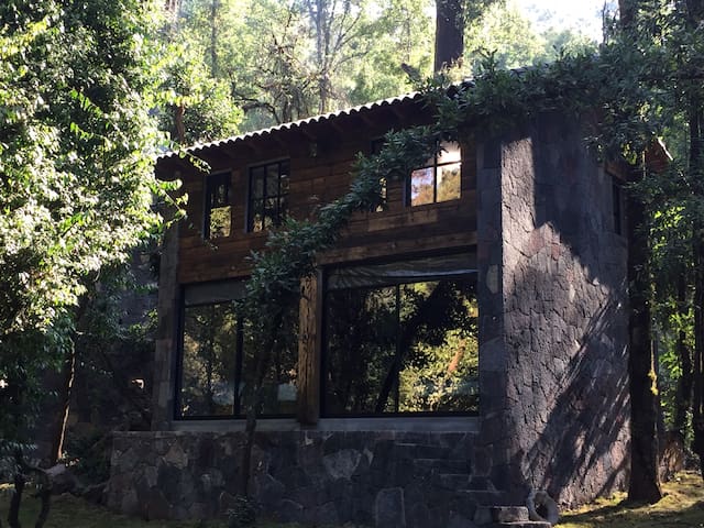CABANA en el bosque TRANQUILIDAD ABSOLUTA, UNICO - Picture 19