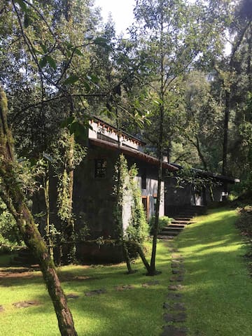 CABANA en el bosque TRANQUILIDAD ABSOLUTA, UNICO - Picture 27