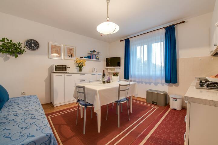 Apartments Fiorela - 2 bedroom app with terrace - Foto 11