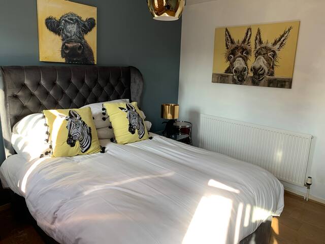 Awesome Mathew St 2 Bed duplex 2 bed sleeps 6 - Photo 5
