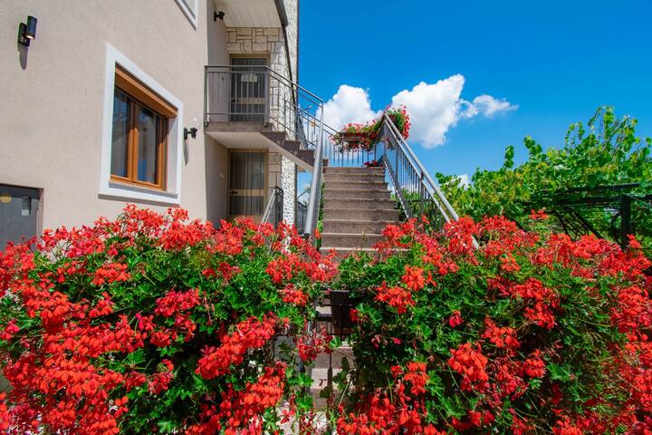 Apartments Kristina - Studio for 3 with terrace