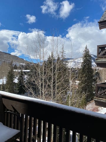 Beautiful view by the creek, close to Vail Village - Picture 29