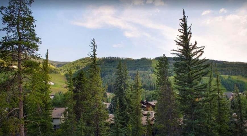 Beautiful view by the creek, close to Vail Village - Picture 30