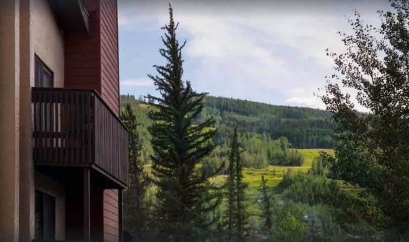 Beautiful view by the creek, close to Vail Village - Picture 27