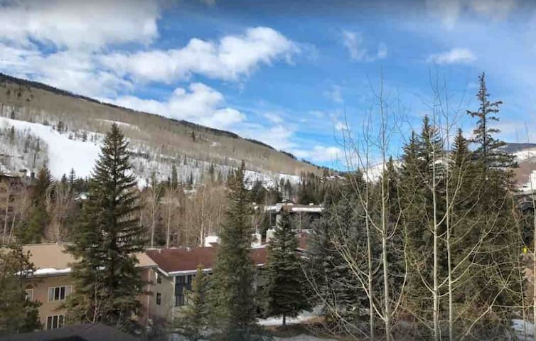 Beautiful view by the creek, close to Vail Village - Picture 26