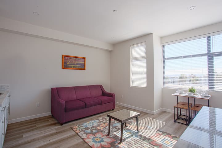 Luxurious Design One Bedroom Apt near Balboa Park