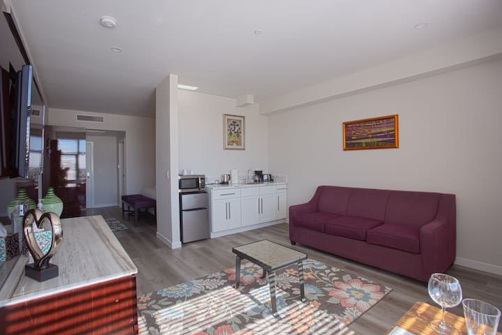 Luxurious Design One Bedroom Apt near Balboa Park