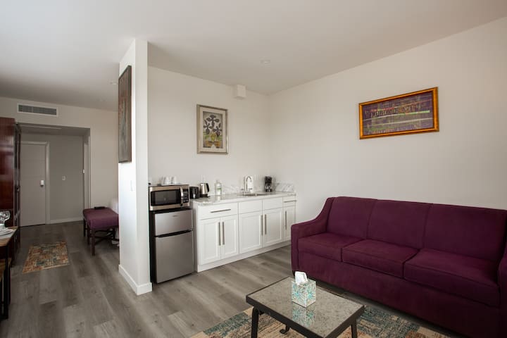 One Bedroom Apartment with Luxurious Furnitures