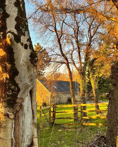 Romantic Nordic Retreat in Llangefni - Picture 29