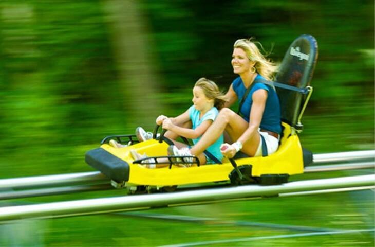 Disney Magic Suite at Jiminy - Ski On Off Sleeps 4- A Must See Mountain Retreat - Foto 31