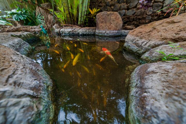 Lotus Suite, boutique resort, 1 bed, sleeps 4 - Foto 48