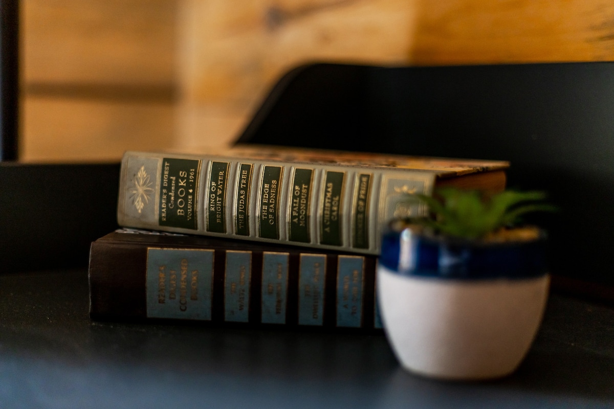 A close-up of a stack of vintage Reader's Digest condensed books and other classic novels, accompanied by a small potted succulent, resting on a dark shelf as decorative accents.
