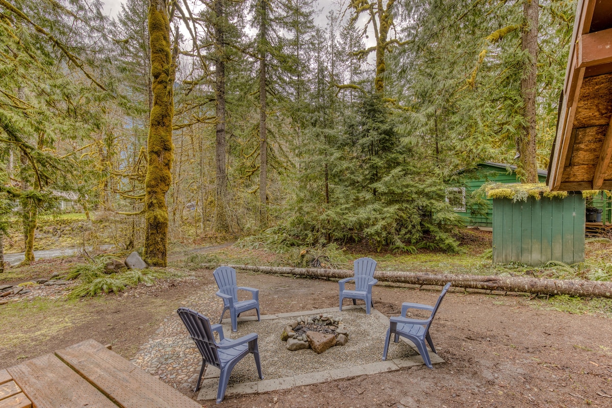A wide shot of an outdoor fire pit area with four blue chairs on a stone and gravel base, surrounded by a dense forest of tall, moss-covered evergreen trees, with a small green shed visible in the background.