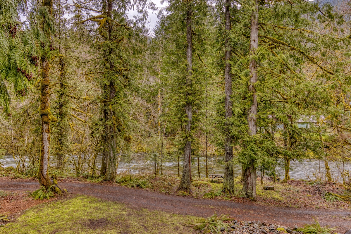 A dirt path winds through a mossy forest with tall evergreen and deciduous trees, leading towards a river visible in the background, with a wooden picnic table to the right.