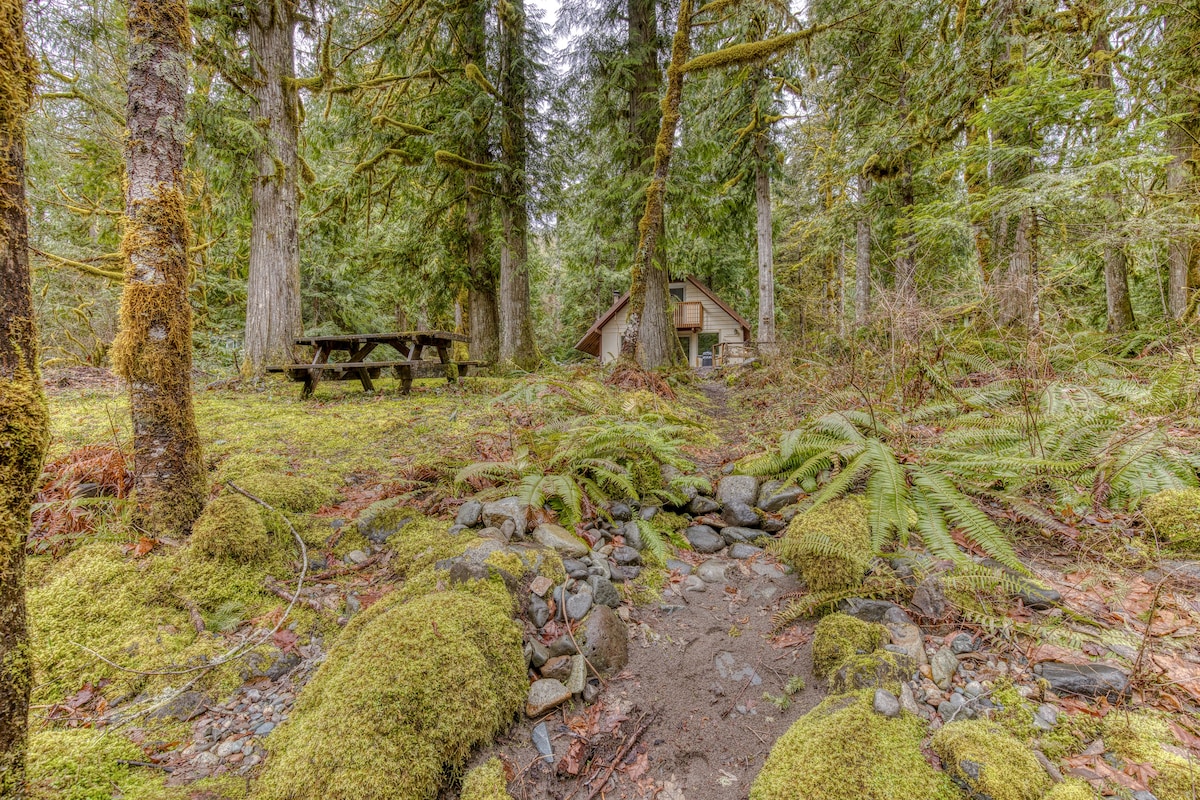 A rustic wooden picnic table sits on a mossy forest floor covered with ferns and rocks, with a cozy cabin partially visible through the dense trees in the background.
