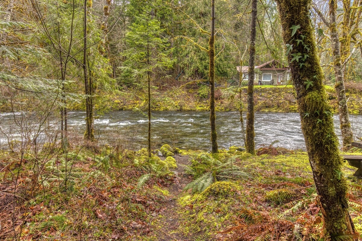 A fast-flowing river with rapids, bordered by moss-covered rocks and dense, lush green forest with tall trees and ferns, suggesting a serene natural setting.