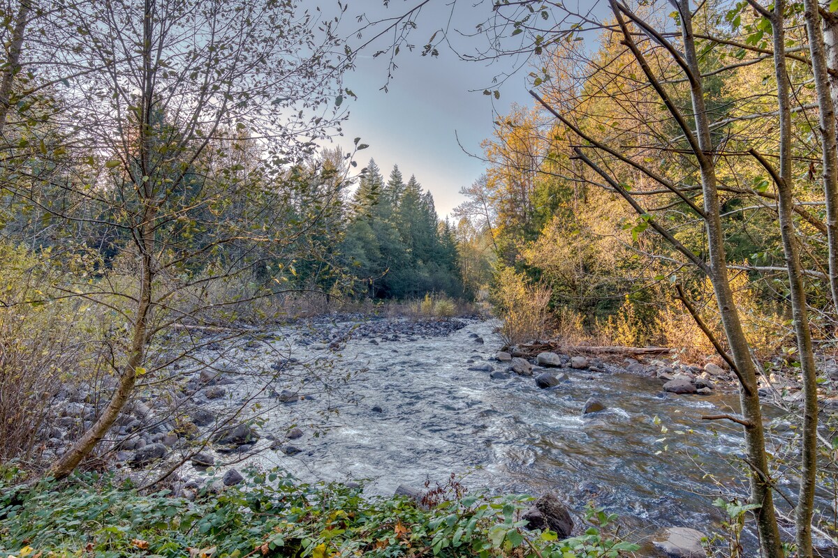 Scenic view of a rocky river flowing through a dense forest with a mix of evergreen and deciduous trees displaying autumn colors under a bright sky.