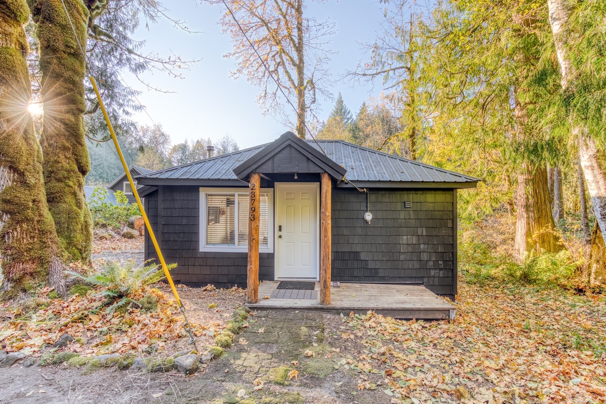 The front exterior of a dark-sided cabin with a metal roof and a white front door, flanked by natural wood posts and a small wooden porch, surrounded by fallen autumn leaves and tall trees.