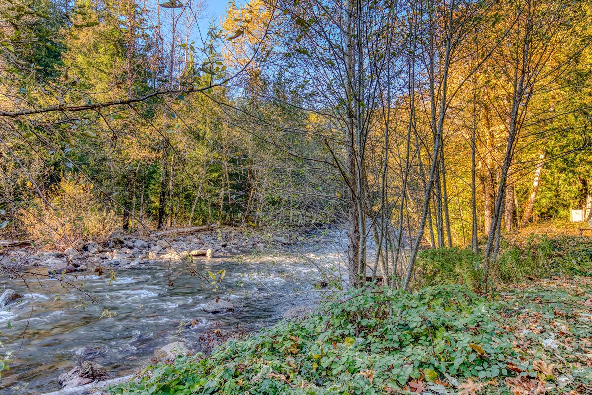 A scenic view of a rocky river flowing through a wooded area with bare-branched trees and green undergrowth, bathed in bright sunlight.